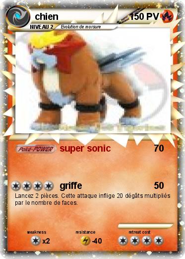 Pokemon chien