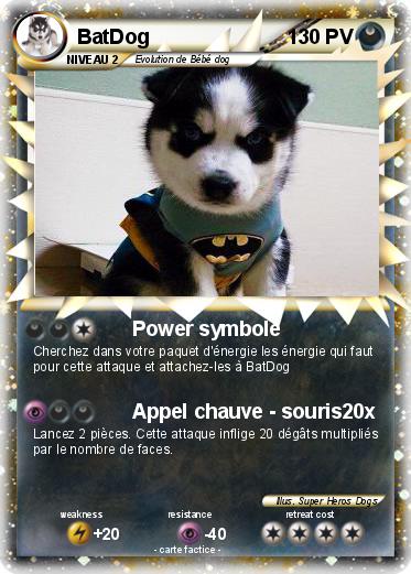 Pokemon BatDog