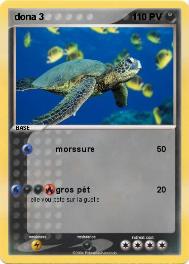 Pokemon dona 3