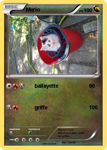 Pokemon Mario