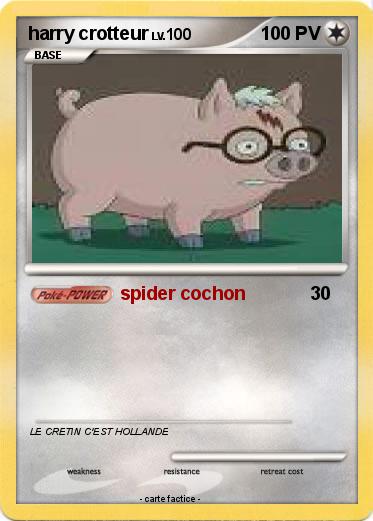 Pokemon harry crotteur