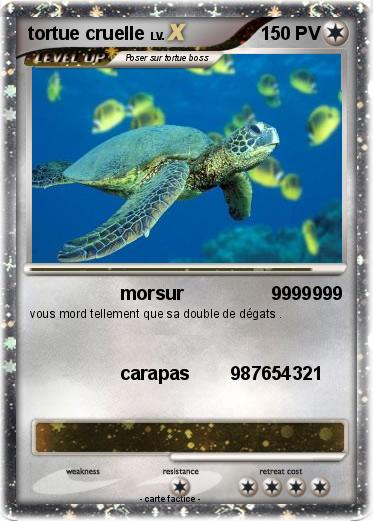 Pokemon tortue cruelle