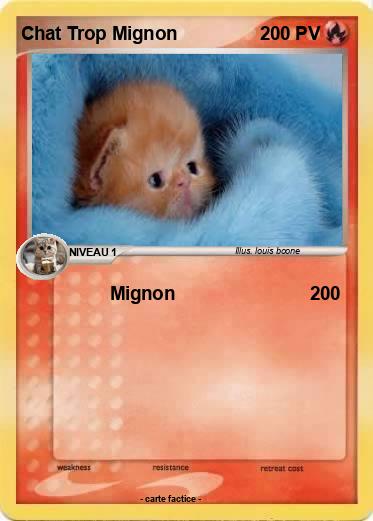 Pokemon Chat Trop Mignon
