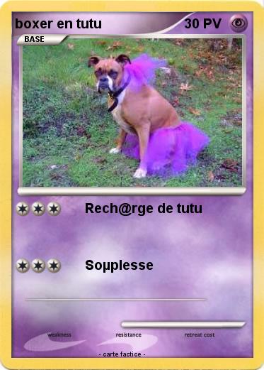 Pokemon boxer en tutu