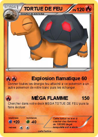 Pokemon TORTUE DE FEU