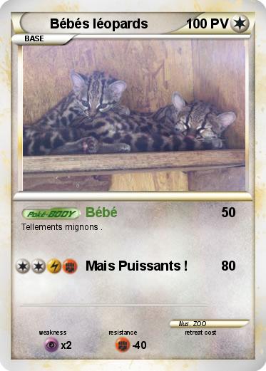 Pokemon Bébés léopards