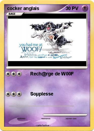 Pokemon cocker anglais