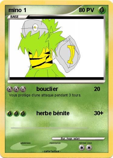 Pokemon mino 1