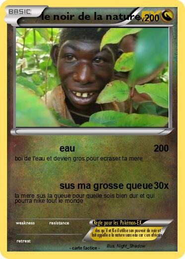Pokemon le noir de la nature