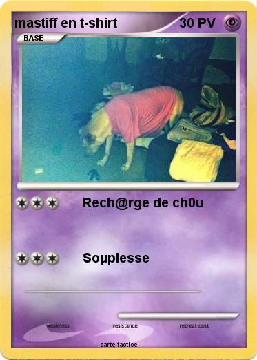 Pokemon mastiff en t-shirt