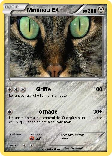 Pokemon Miminou EX