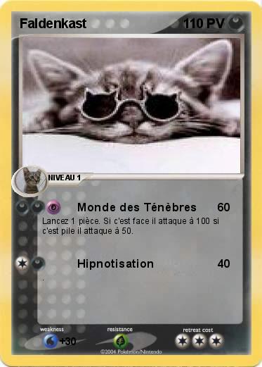 Pokemon Faldenkast
