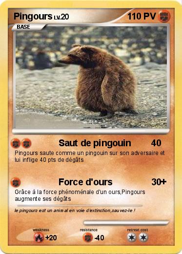 Pokemon Pingours