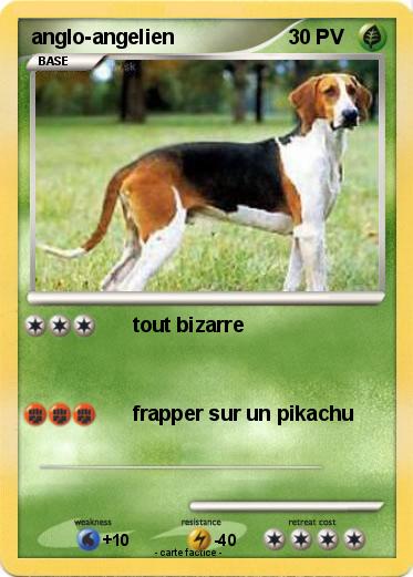 Pokemon anglo-angelien