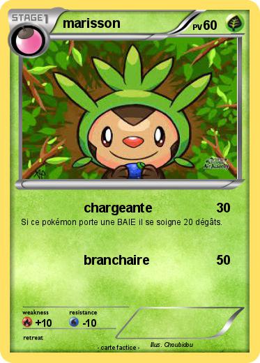 Pokemon marisson