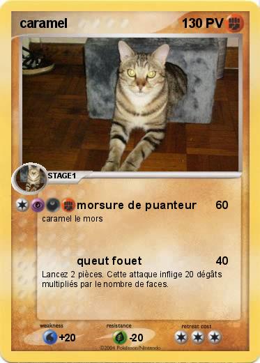 Pokemon caramel