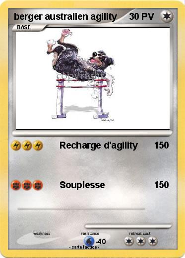 Pokemon berger australien agility