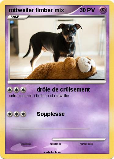 Pokemon rottweiler timber mix