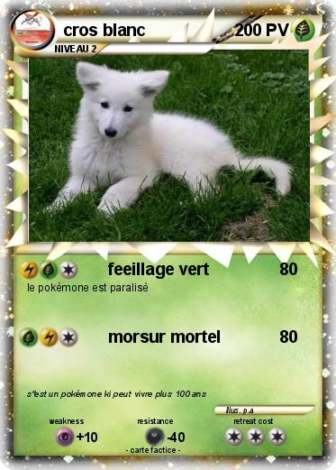 Pokemon cros blanc