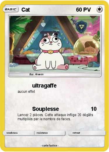 Pokemon Cat