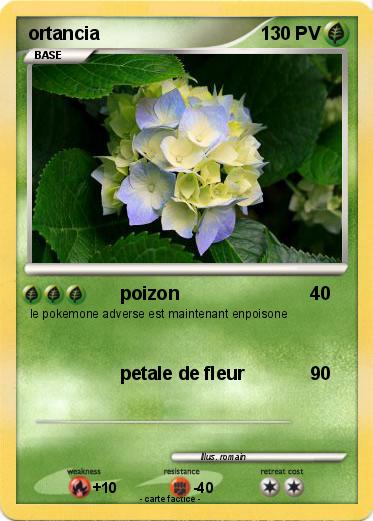 Pokemon ortancia
