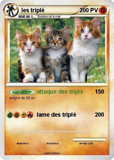 Pokemon les triplé