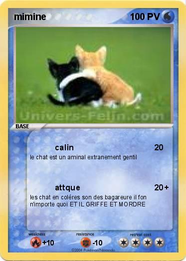 Pokemon mimine