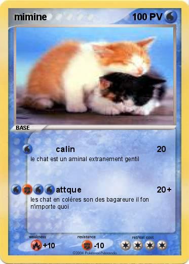 Pokemon mimine