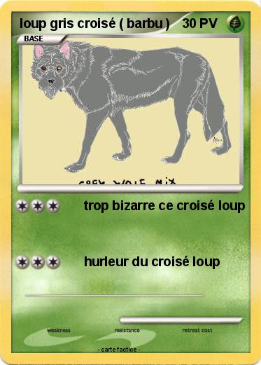 Pokemon loup gris croisé ( barbu )