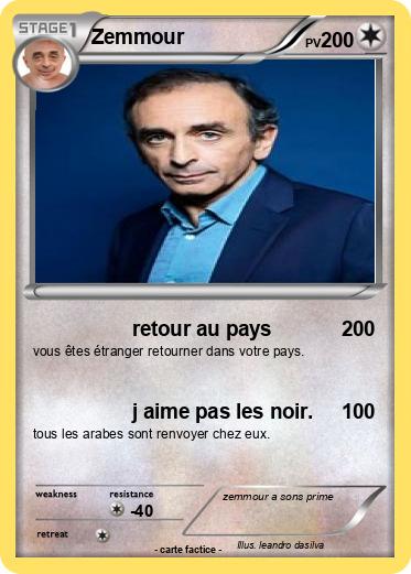 Pokemon Zemmour