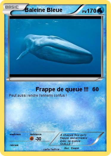 Pokemon Baleine Bleue