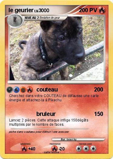 Pokemon le geurier