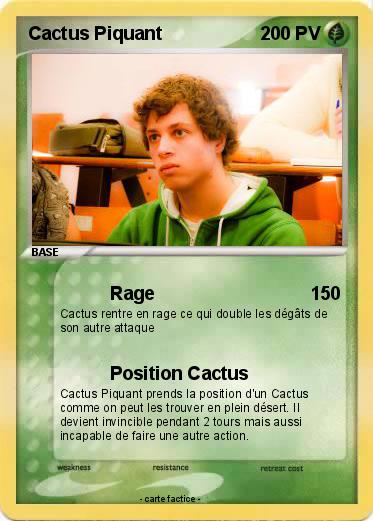 Pokemon Cactus Piquant