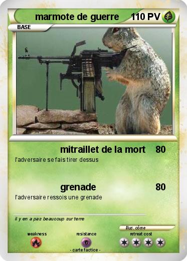 Pokemon marmote de guerre