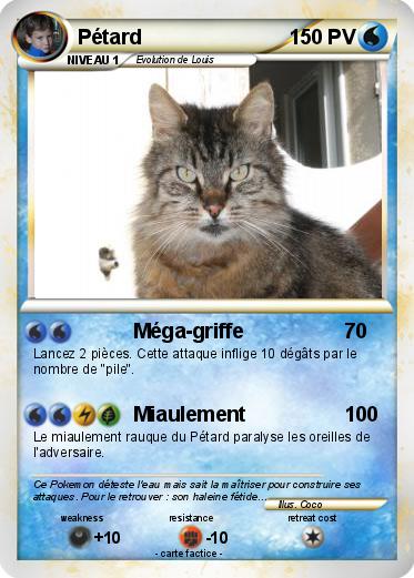 Pokemon Pétard