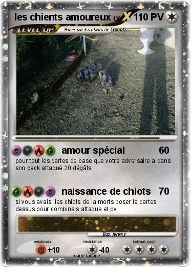 Pokemon les chients amoureux