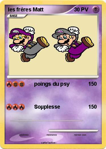 Pokemon les frères Matt