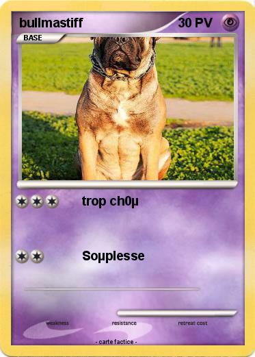 Pokemon bullmastiff