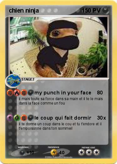 Pokemon chien ninja