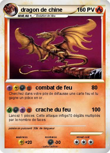 Pokemon dragon de chine