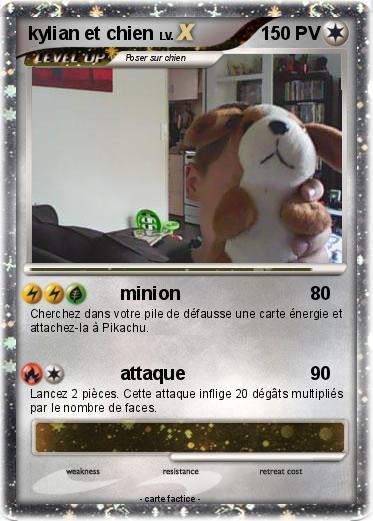 Pokemon kylian et chien