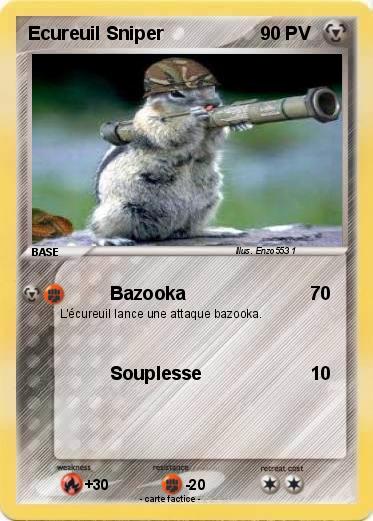Pokemon Ecureuil Sniper