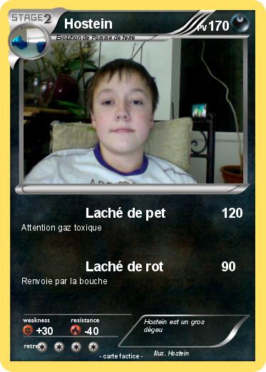 Pokemon Hostein