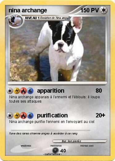 Pokemon nina archange