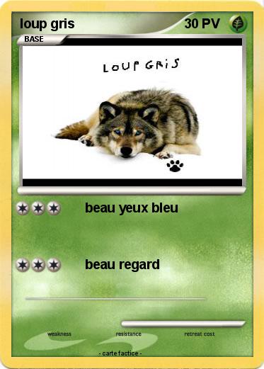 Pokemon loup gris