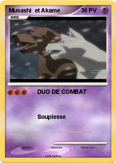 Pokemon Musashi  et Akame