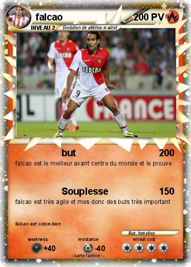 Pokemon falcao