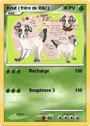 Pokemon Knut ( frère de Riki )
