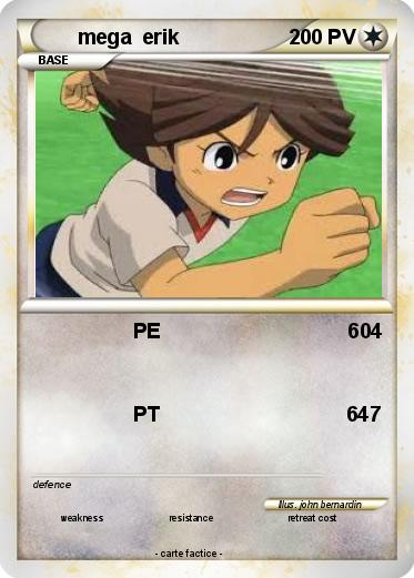 Pokemon mega  erik