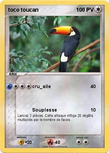 Pokemon toco toucan
